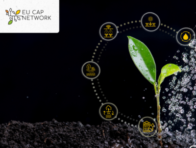 Eine junge Pflanze vor einem dunklen Hintergrund mit dem Logo vom EU-CAP-Network