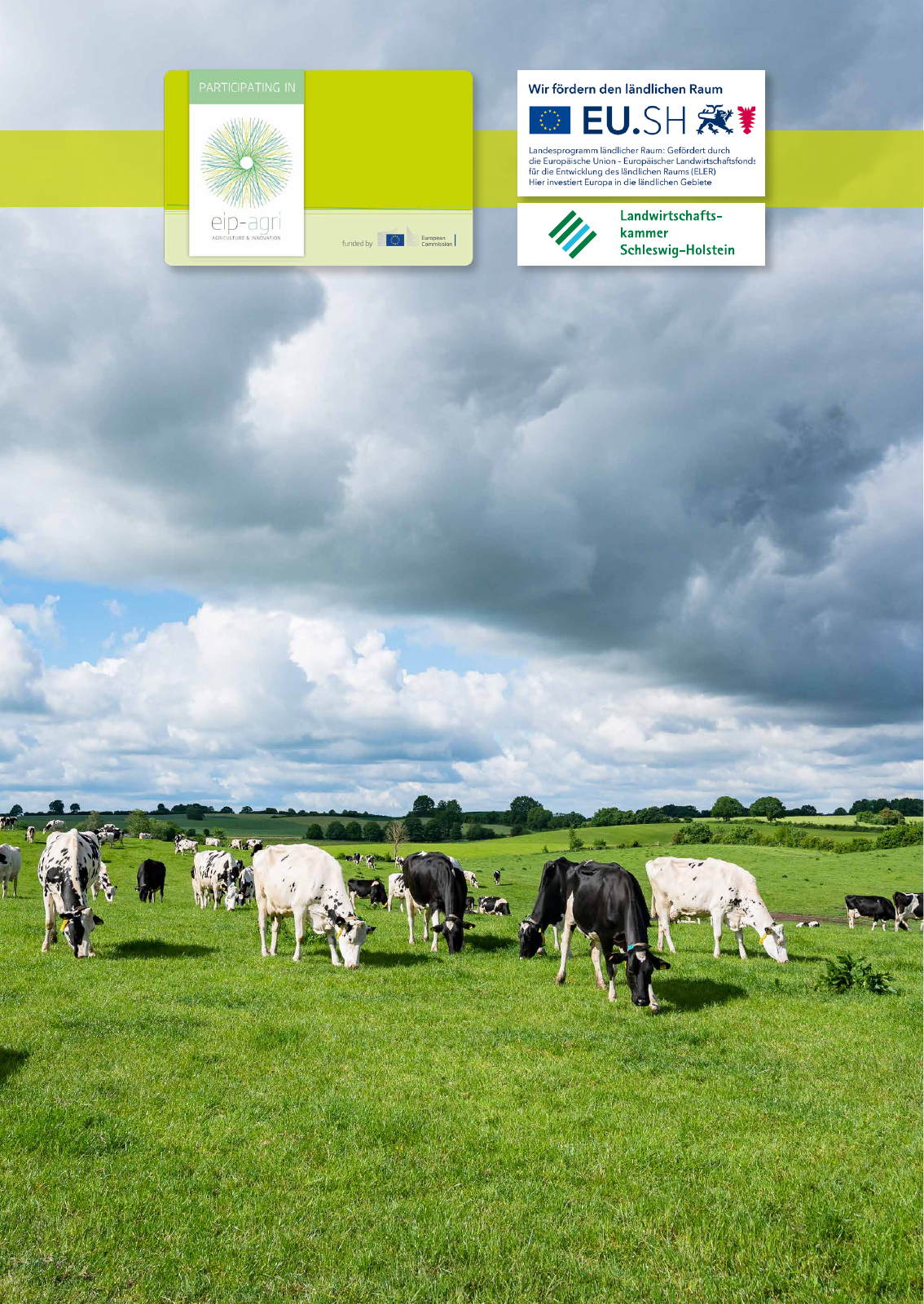 Vorschau EIP-Broschüre 2022 Seite 84