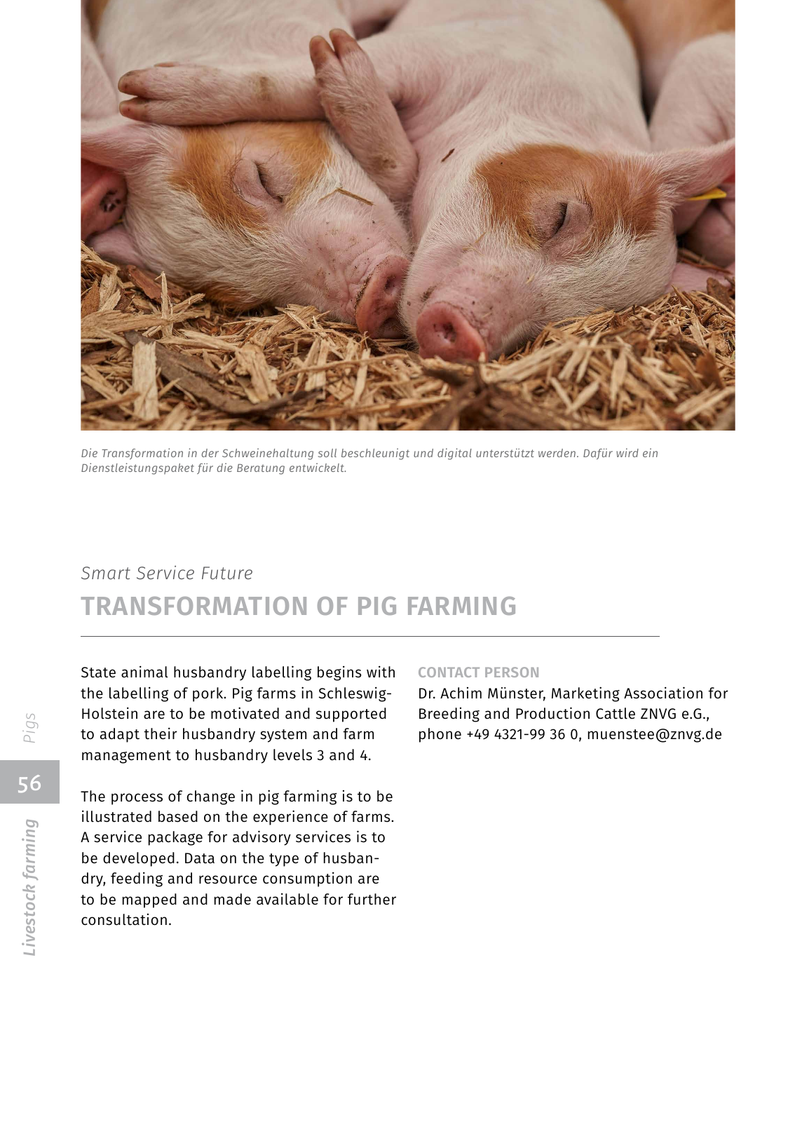 Vorschau EIP-Broschüre 2022 Seite 56