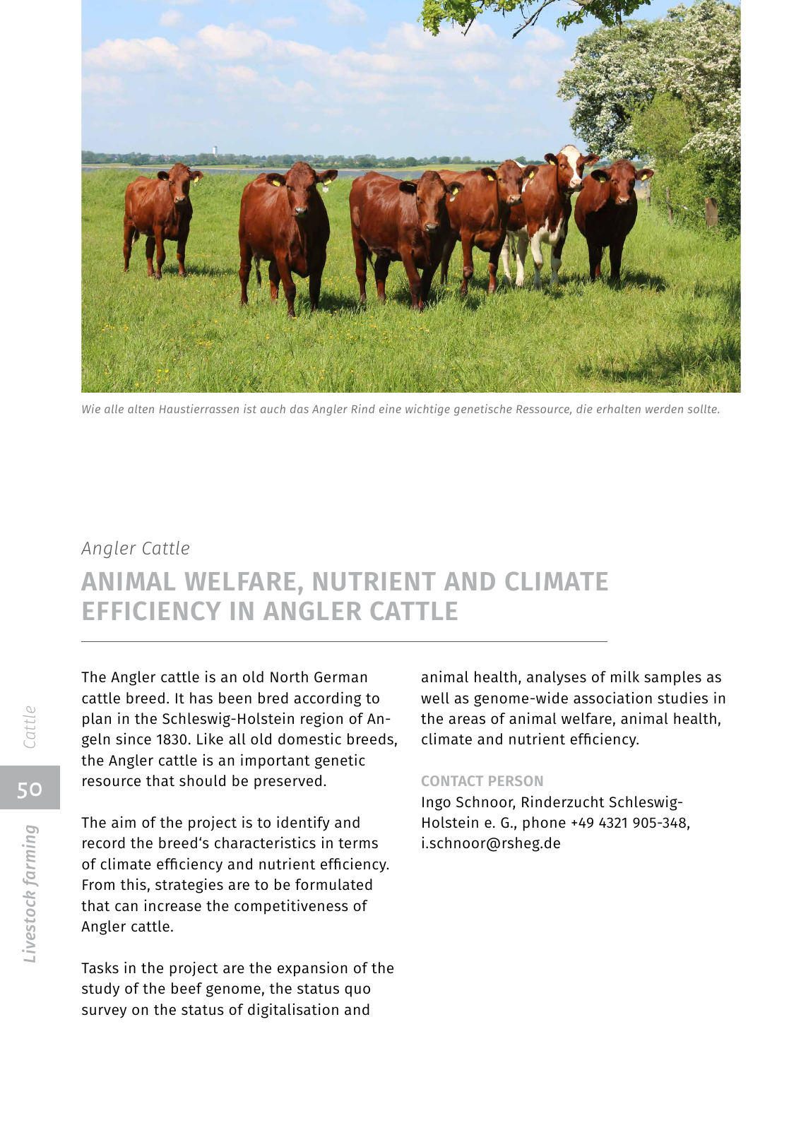 Vorschau EIP-Broschüre 2022 Seite 50