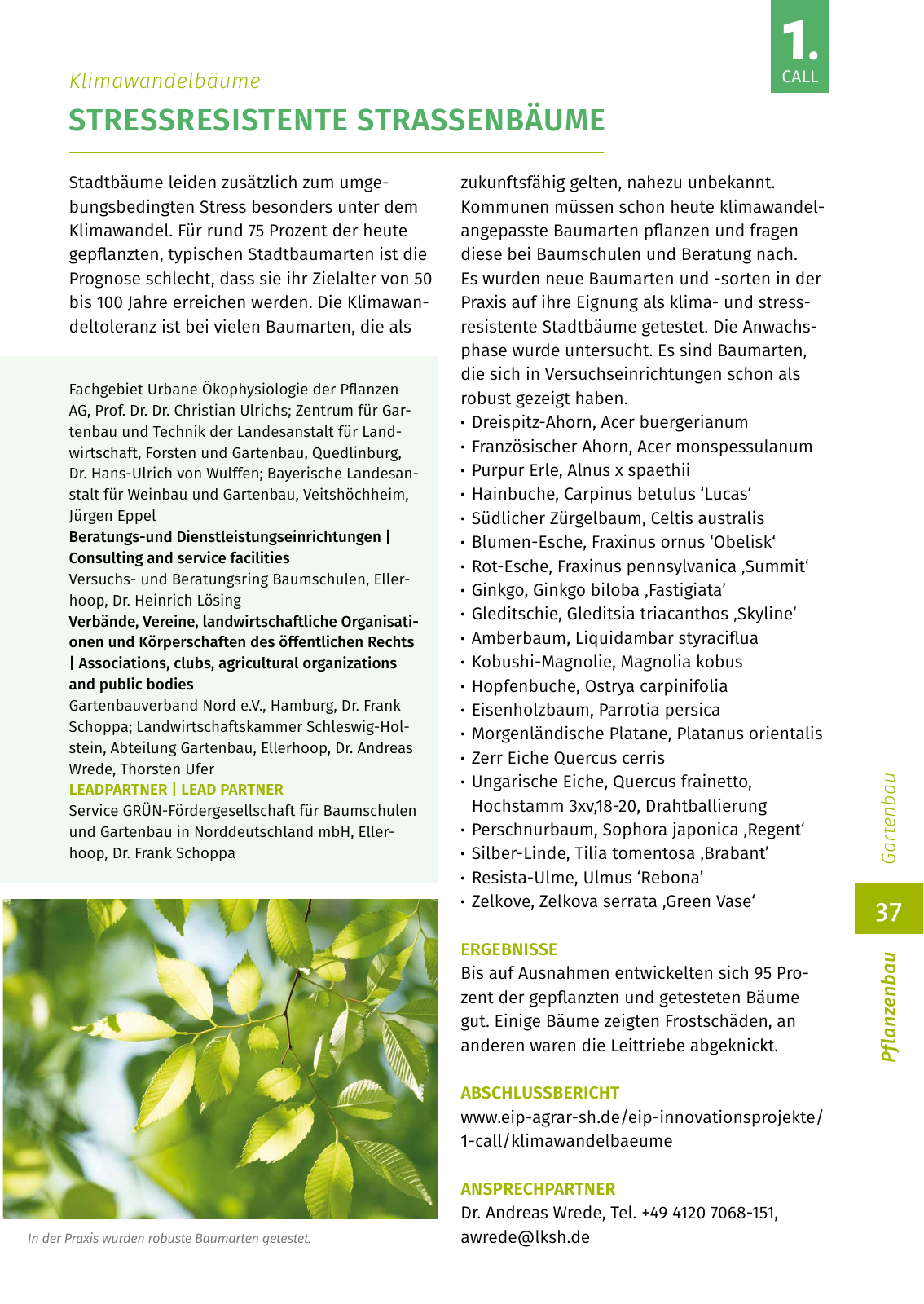 Vorschau EIP-Broschüre 2022 Seite 37