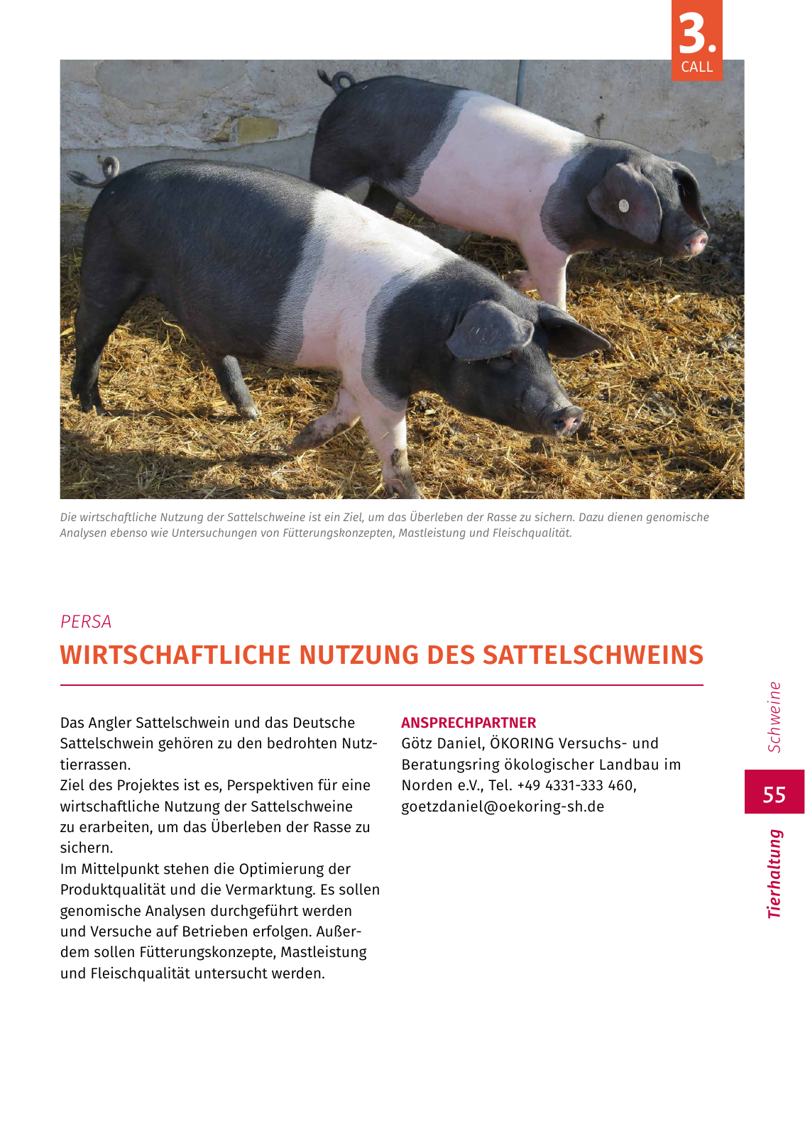 Vorschau EIP-Broschüre 2022 Seite 55