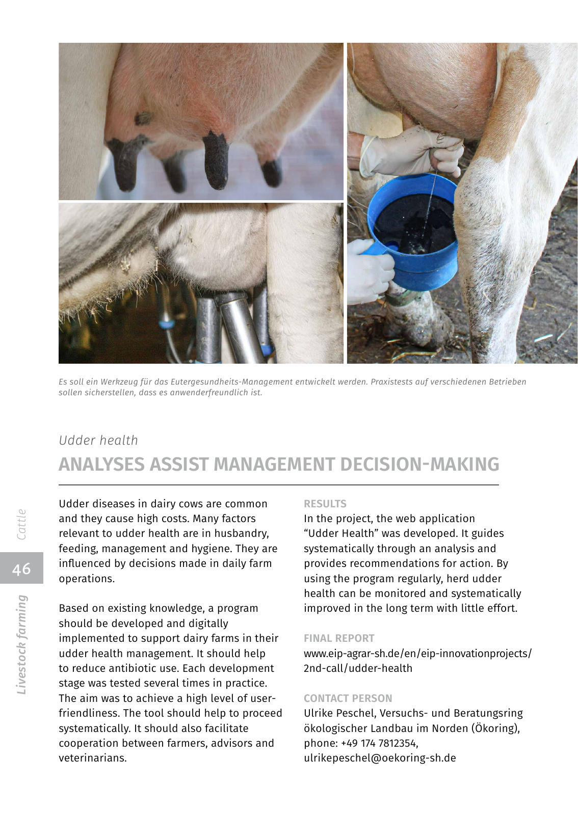 Vorschau EIP-Broschüre 2022 Seite 46