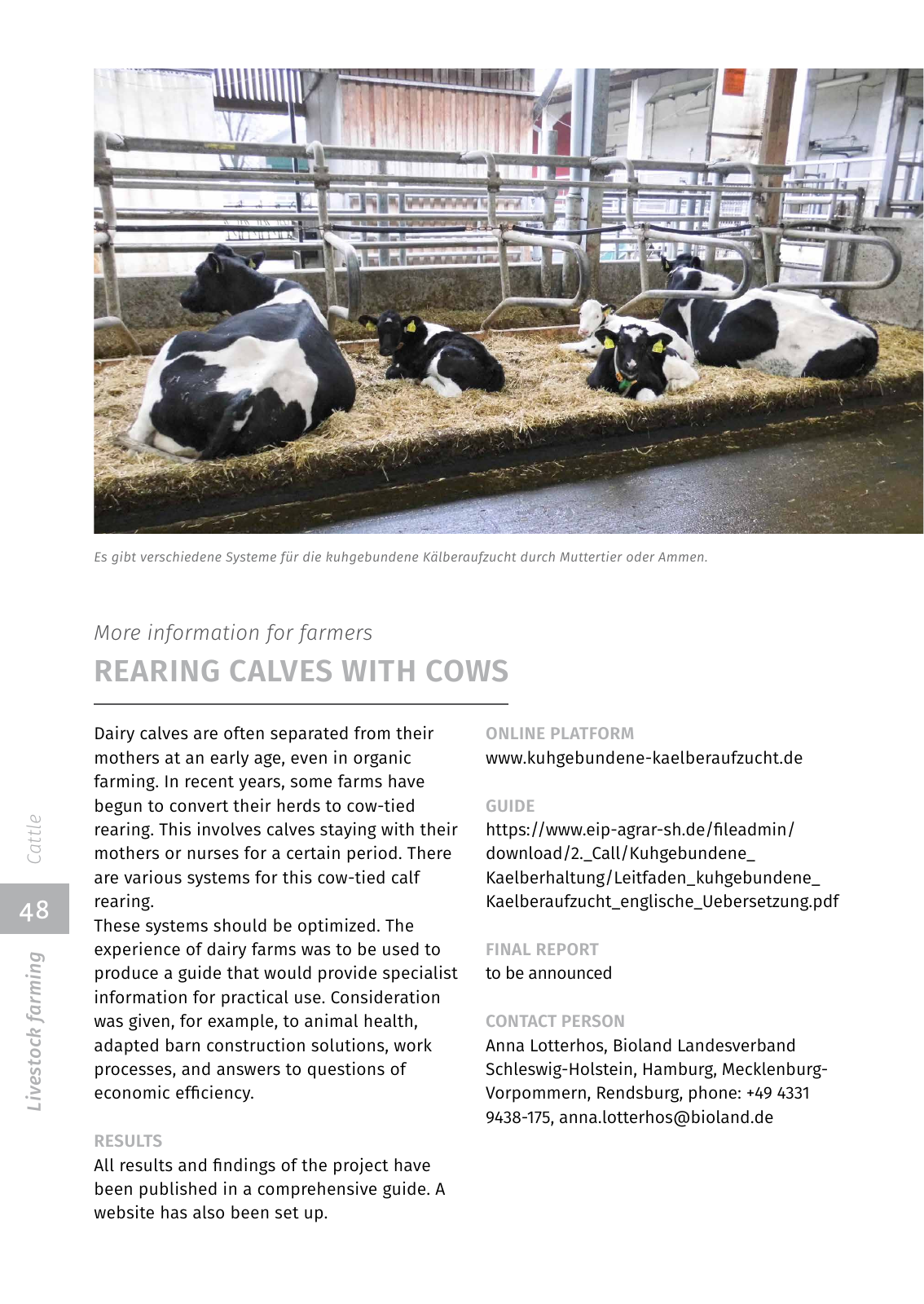 Vorschau EIP-Broschüre 2022 Seite 48