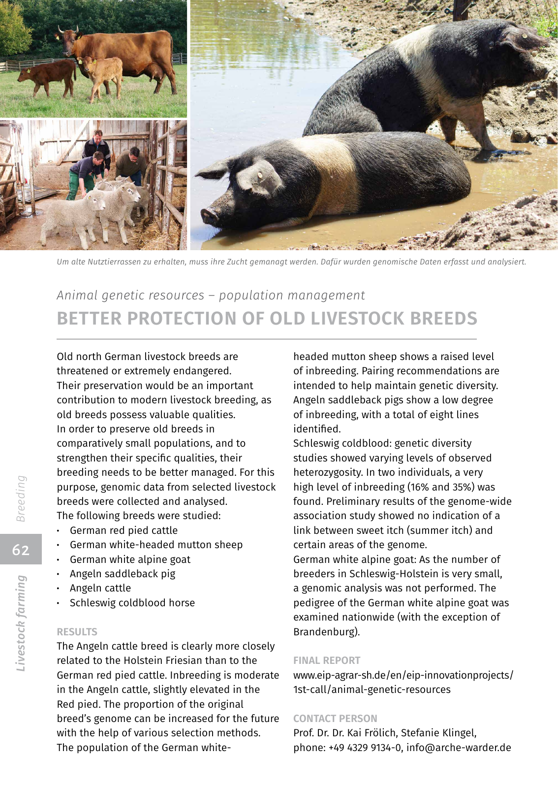 Vorschau EIP-Broschüre 2022 Seite 62